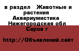  в раздел : Животные и растения » Аквариумистика . Нижегородская обл.,Саров г.